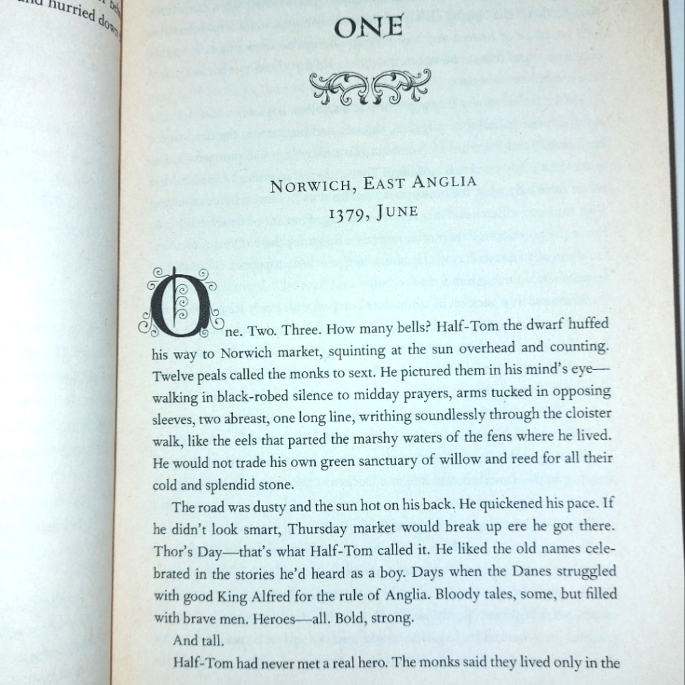 5 for $25- The Illuminator, a Historic Novel by Brenda Rickman Vantrease - Picture 8 of 9